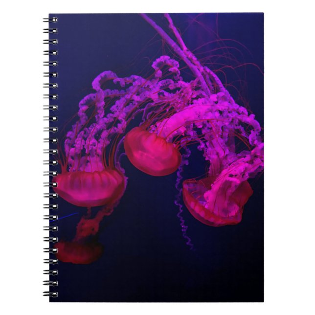 PINK JELLY FISH UNDER THE SEA NOTEBOOK (Front)