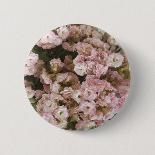 Pink Kalanchoe Plant 6 Cm Round Badge