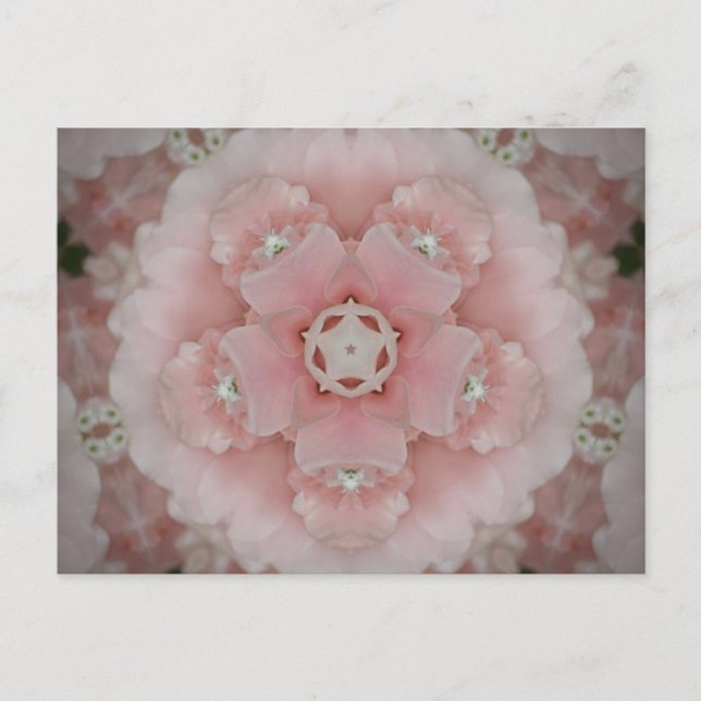 Pink Kaleidoscope Floral Postcard (Front)