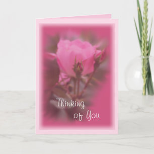 Pink Knockout Rose card- any occasion Card
