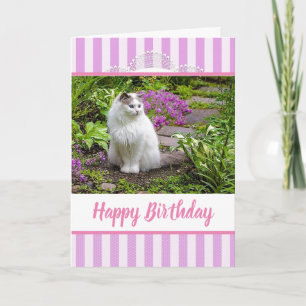 Pink Lace Birthday Card with White Cat Photograph