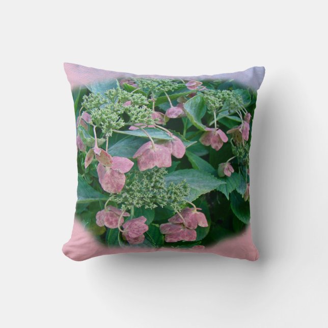 Pink Lace-Cap Hydrangea Blossoms - Pillows (Front)
