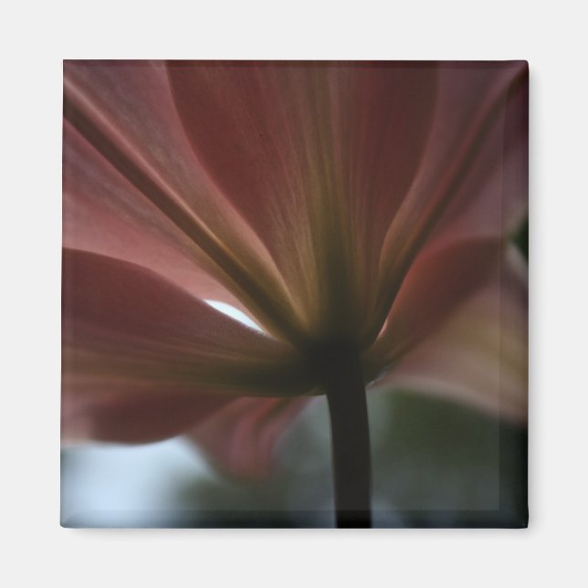 Pink Lady Magnet (Front)