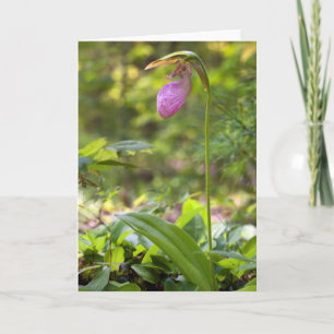 Pink Lady Slipper Blank Note Card