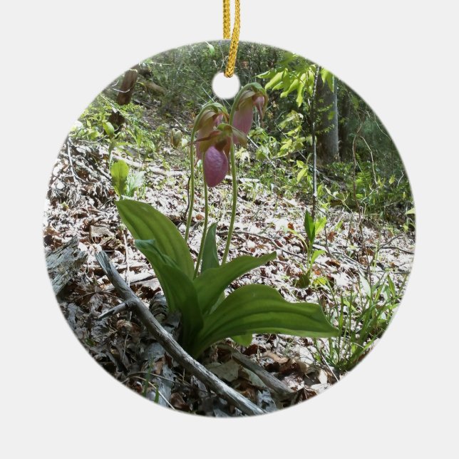 Pink lady slipper Orchid Ceramic Ornament (Front)