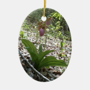 Pink lady slipper Orchid Ceramic Tree Decoration