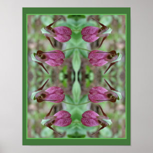 Pink Lady Slipper Orchid Flower Pair Abstract Poster
