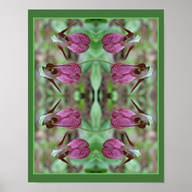 Pink Lady Slipper Orchid Flower Pair Abstract Poster (Front)