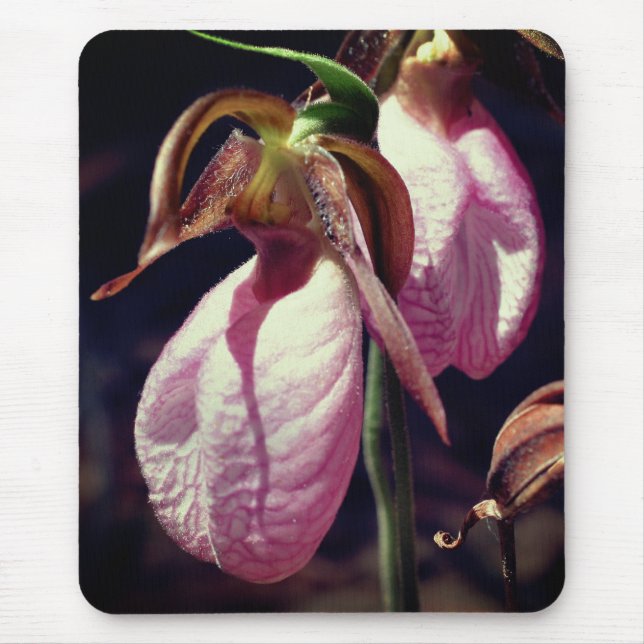 Pink Lady Slipper Orchid Flowers Mouse Pad (Front)