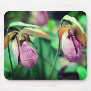 Pink Lady Slipper Orchid Flowers Mouse Pad