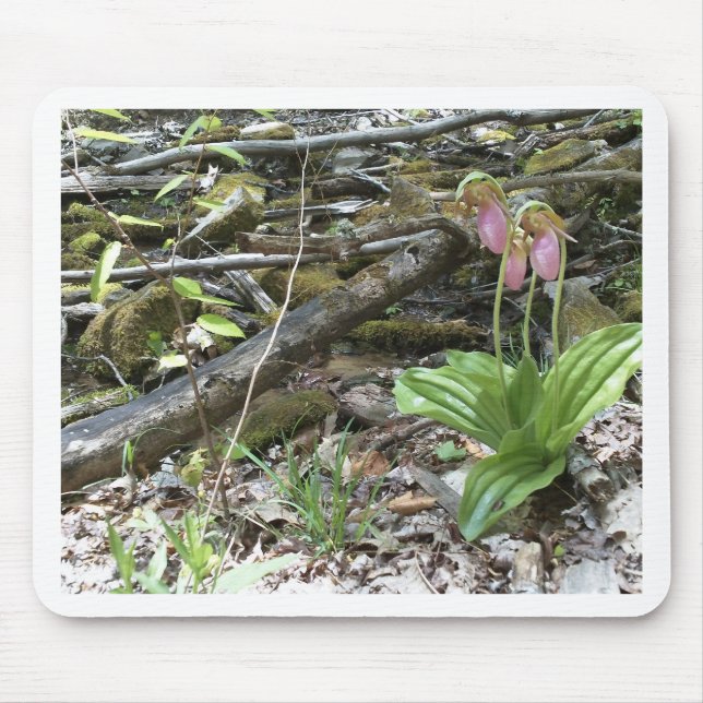 Pink lady slipper orchid mouse pad (Front)