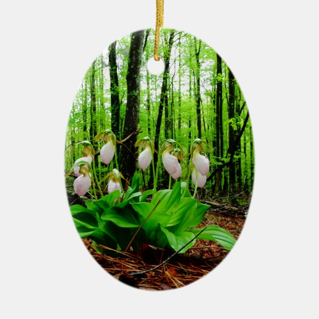 Pink Lady Slipper wild Orchid Ceramic Tree Decoration (Front)