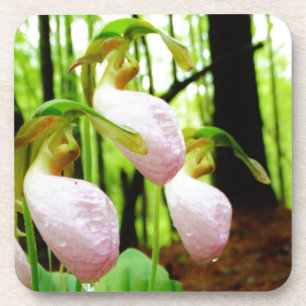 Pink Lady Slipper wild Orchid Coaster