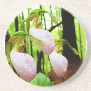 Pink Lady Slipper wild Orchid Coaster