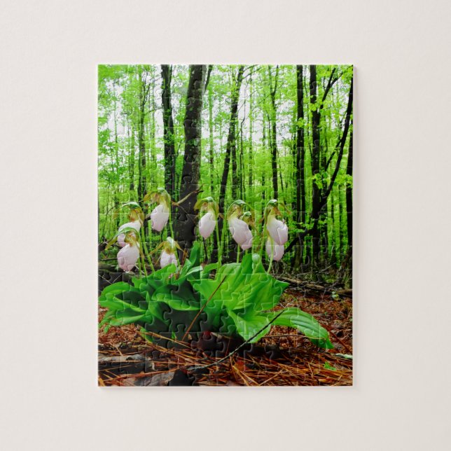 Pink Lady Slipper wild Orchid Jigsaw Puzzle (Vertical)