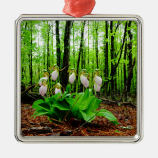 Pink Lady Slipper wild Orchid Metal Ornament