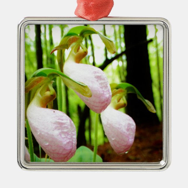 Pink Lady Slipper wild Orchid Metal Tree Decoration (Front)