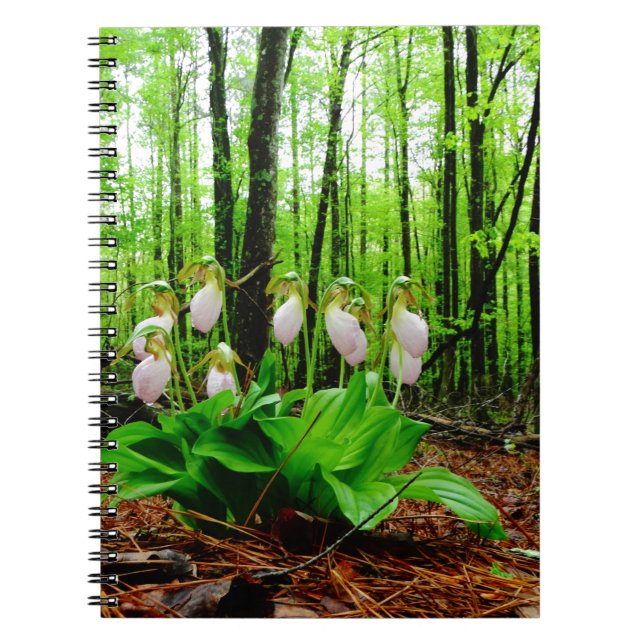 Pink Lady Slipper wild Orchid Notebook (Front)