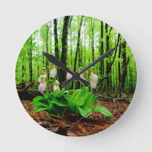 Pink Lady Slipper wild Orchid Round Clock