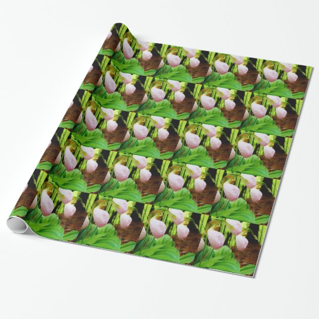 Pink Lady Slipper wild Orchid Wrapping Paper (Unrolled)
