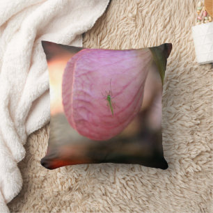 Pink Lady Slipper With Visiting Green Insect Cushion