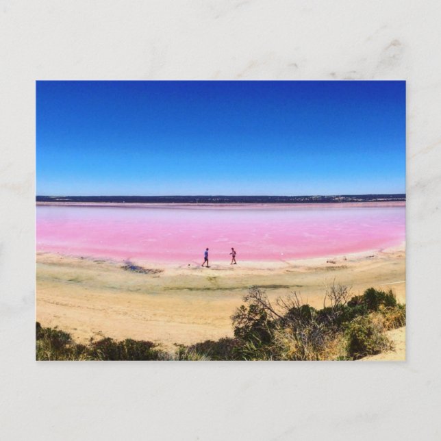 Pink Lake, Port Gregory Western Australia Postcard (Front)