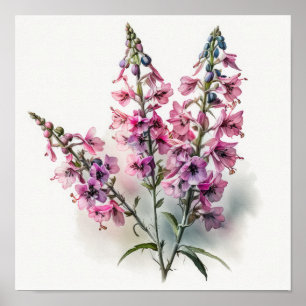 Pink Larkspur Flower Art Print Poster
