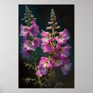 Pink Larkspur Flower Art Print Poster