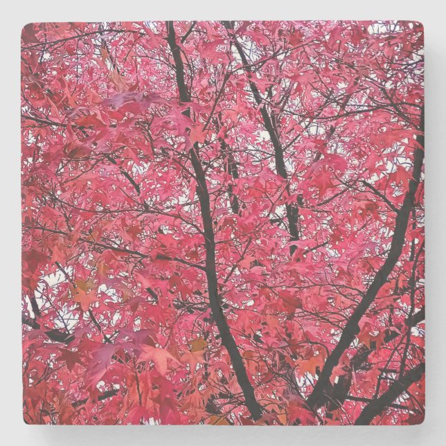 Pink leaves stone coaster (Front)