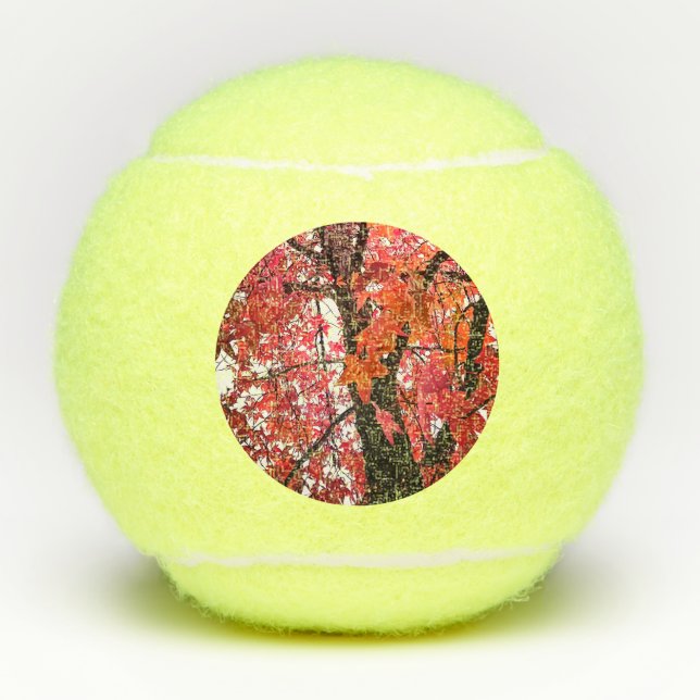 Pink leaves tennis balls (Front)