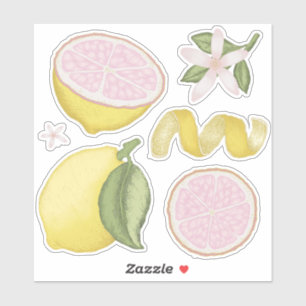 Pink Lemonade Lemon Floral Citrus Sticker Sheet