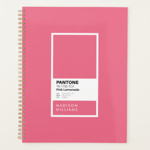 Pink Lemonade Minimalist Colour Palette Swatch Planner