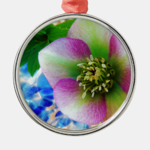 Pink Lenten Rose blue glass ball Metal Ornament