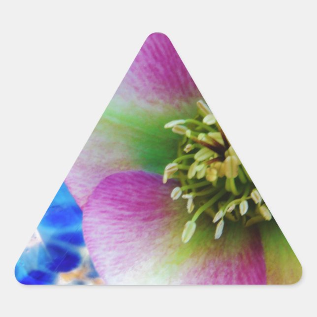 Pink Lenten Rose blue glass ball Triangle Sticker (Front)