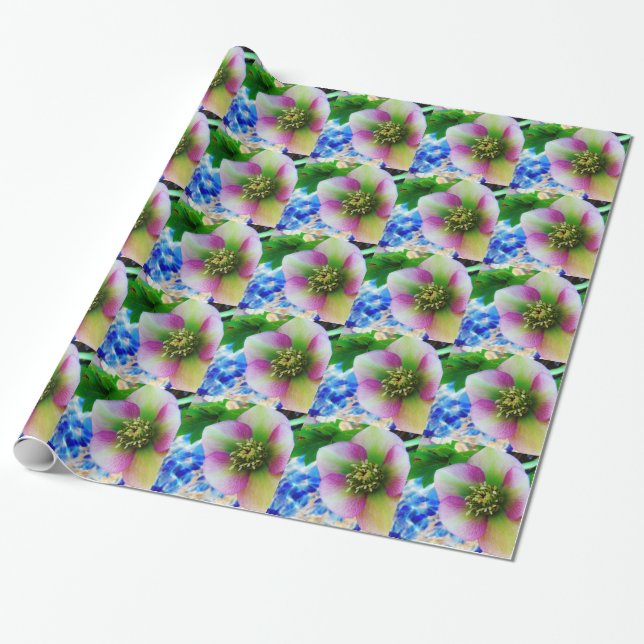 Pink Lenten Rose blue glass ball Wrapping Paper (Unrolled)