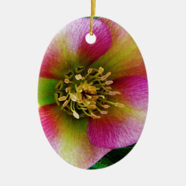 Pink Lenten Rose, Ceramic Ornament (Front)