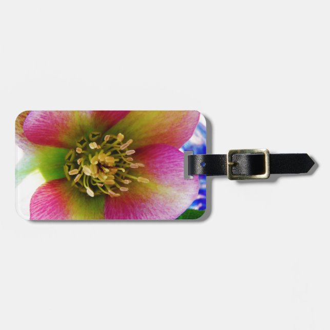 Pink Lenten Rose, Luggage Tag (Front Horizontal)
