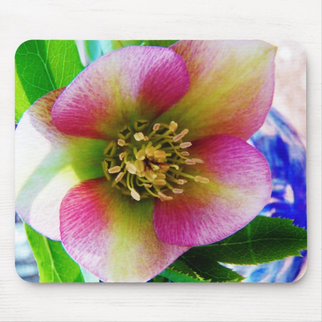Pink Lenten Rose, Mouse Pad (Front)
