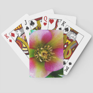 Pink Lenten Rose, Playing Cards