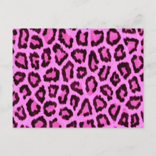 Pink leopard print pattern postcard