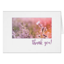 Pink Light Campion Wildflower Thank You