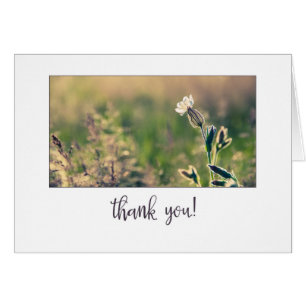 Pink Light Campion Wildflower Thank You