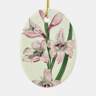 Pink Lilies - Ornament