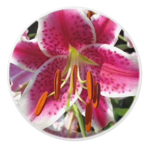 Pink lilies pink tropical flowers pink floral ceramic knob