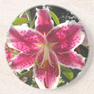 Pink lilies pink tropical flowers pink floral coaster