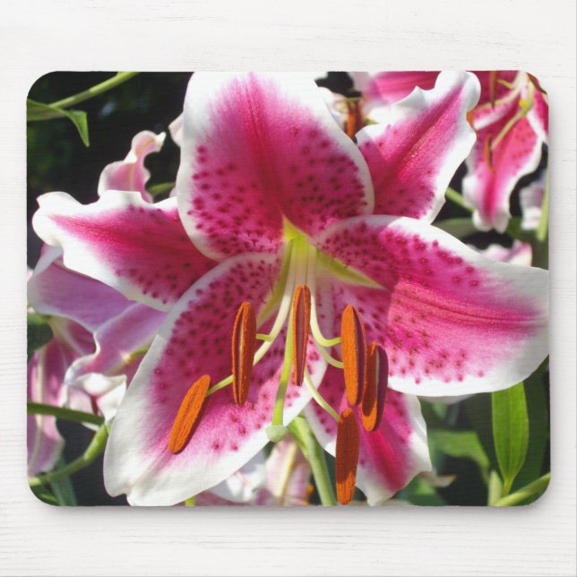Pink lilies pink tropical flowers pink floral mouse pad (Front)