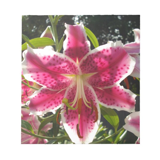 Pink lilies pink tropical flowers pink floral notepad (Front)