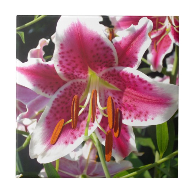 Pink lilies pink tropical flowers pink floral tile (Front)