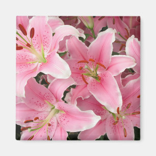 Pink Lillies Magnet