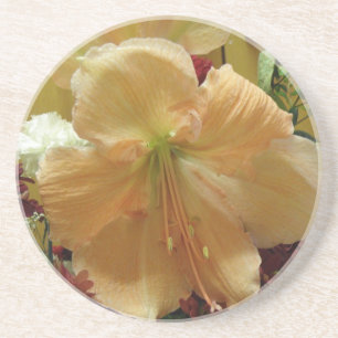 Pink Lily Bouquet Coasters